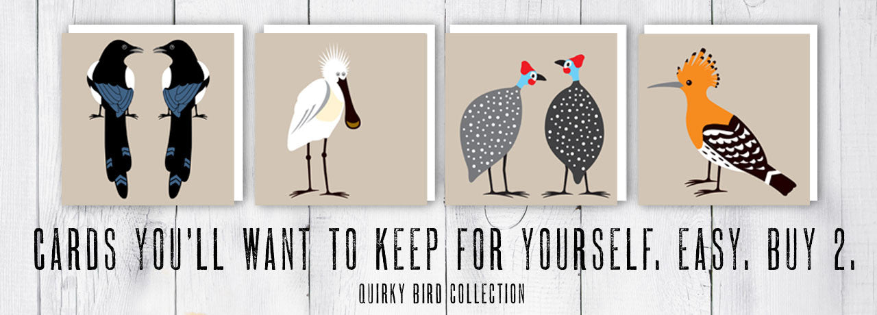 Quirky Bird Collection