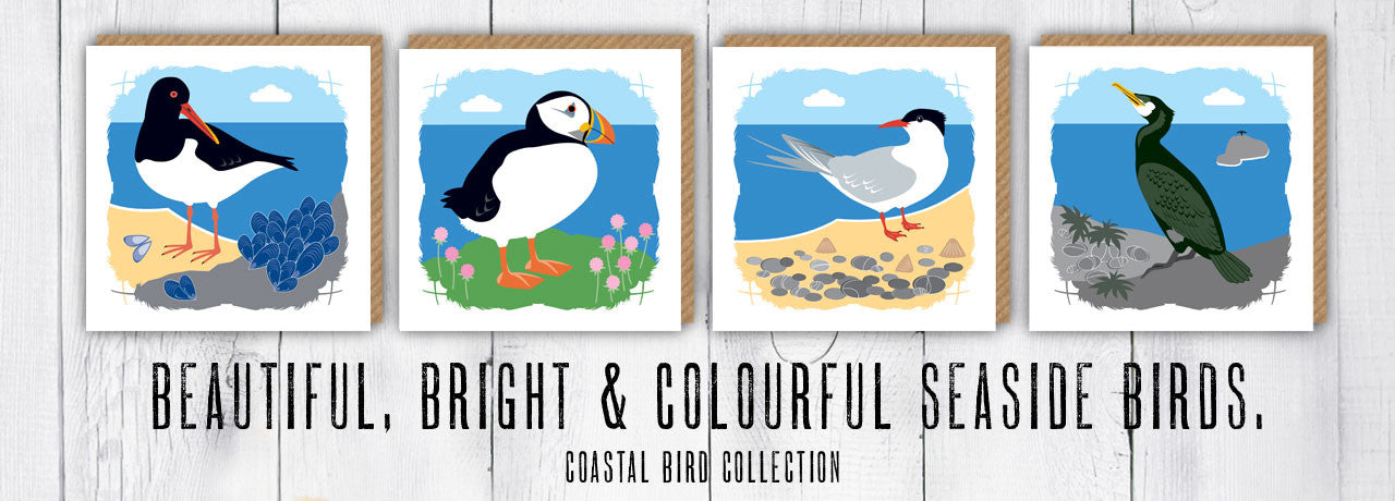 Coastal Bird Collection
